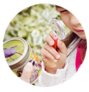 Grab a ToucanBox freebie!